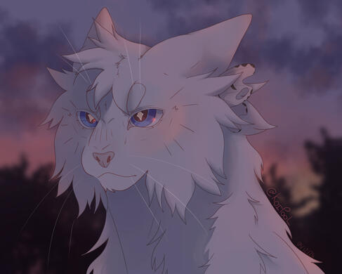 Shaded - Complex background / (31€)