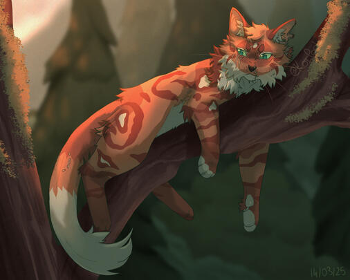 Shaded - Complex background / (38€)