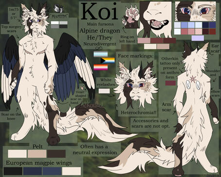 Complex - Icon - Close-up details/written info - Background / (45€)